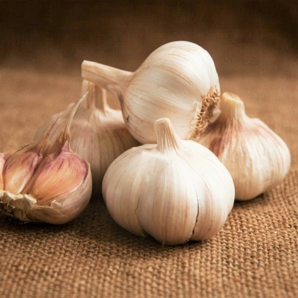 Early Italian Garlic Bulbs for Planting - High Yields, Non-GMO, Suitable for Home Gardening Vegetable