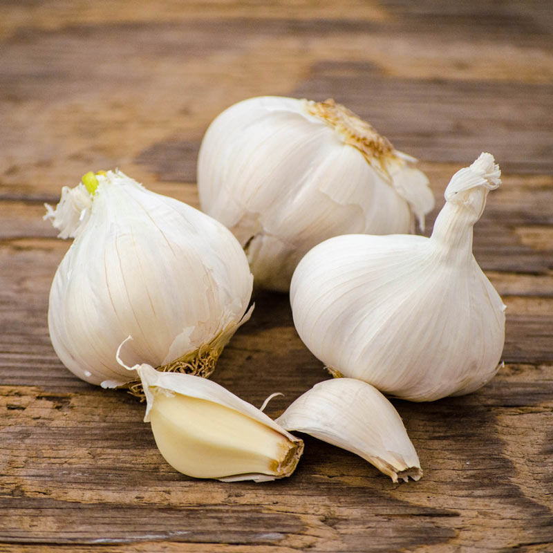 Early Italian Garlic Bulbs for Planting - High Yields, Non-GMO, Suitable for Home Gardening Vegetable