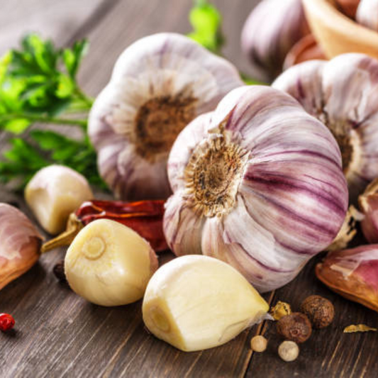 4 Purple Stripe Garlic Bulbs for Planting - High Yields, Non-GMO, Suitable for Home Gardening Vegetable