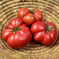Set of 2 Beefsteak Tomato Plants - 6 to 10 Inc Tall, High Yield Variety