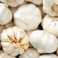 4 Music Garlic Bulbs for Planting - High Yields, Non-GMO, Suitable for Home Gardening Vegetable