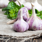 4 Purple Stripe Garlic Bulbs for Planting - High Yields, Non-GMO, Suitable for Home Gardening Vegetable