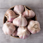 Chesnok Red Garlic Bulbs for Planting - High Yields, Non-GMO, Suitable for Home Gardening Vegetable