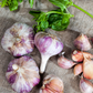 4 Purple Stripe Garlic Bulbs for Planting - High Yields, Non-GMO, Suitable for Home Gardening Vegetable