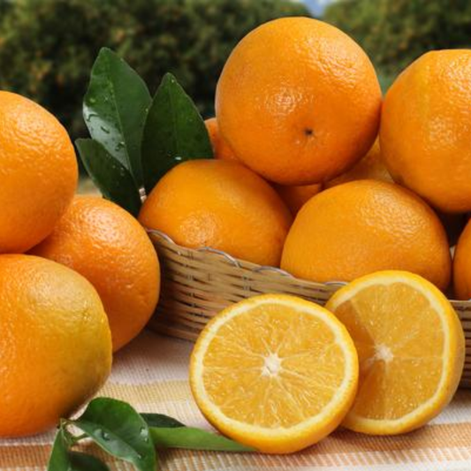 Pineapple Orange Tree – 1-2 Ft Tall | Sweet Pineapple Orange Tree for Garden - Unique Fruit Flavor