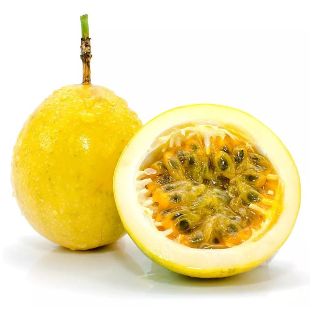 Yellow Passion Fruit Plant, 5 to 8 Inch Tall,  Perennial Passionfruit Plant