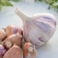 4 Purple Stripe Garlic Bulbs for Planting - High Yields, Non-GMO, Suitable for Home Gardening Vegetable