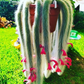 Trailing Monkey Tail Cactus Plant Live, 6 to 8 Inches Tall, Live Succulents Houseplant