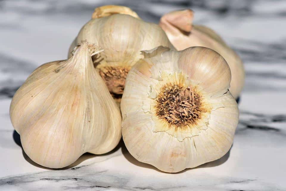 Early Italian Garlic Bulbs for Planting - High Yields, Non-GMO, Suitable for Home Gardening Vegetable