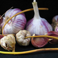 Chesnok Red Garlic Bulbs for Planting - High Yields, Non-GMO, Suitable for Home Gardening Vegetable